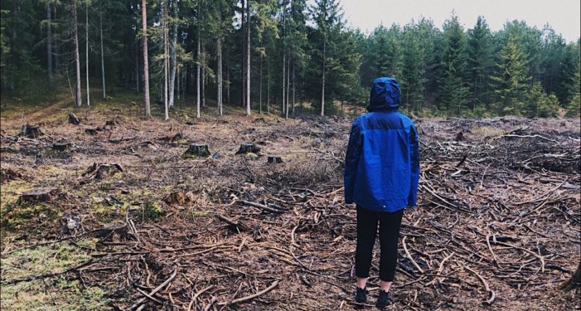 Atbalsti ATV audzēkni Viktoriju Maksimovu stipendiju konkursā “LVM Bioekonomikas skola”!